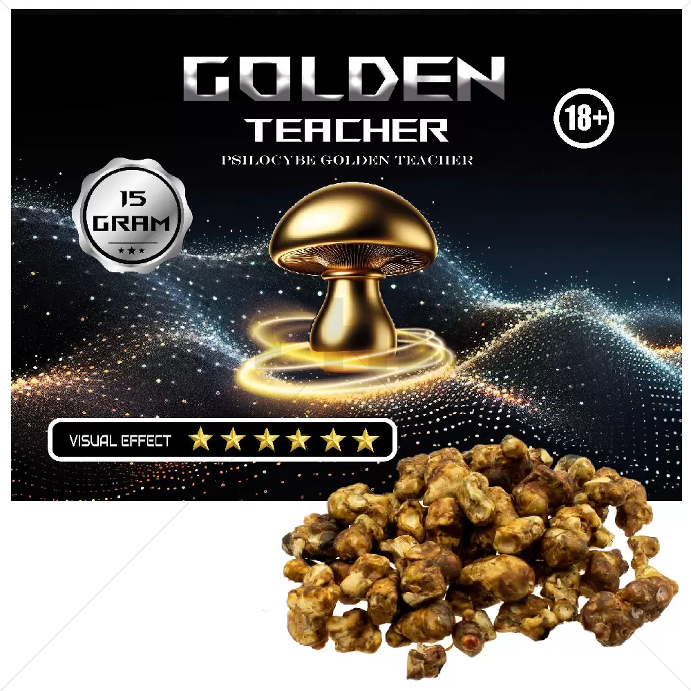 Psilocybe Golden Teacher Truffels