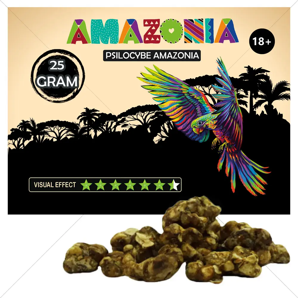 Psilocybe Amazonia Truffels