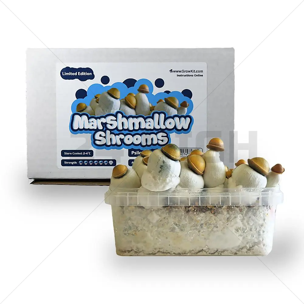 Marshmallow Shrooms Growkit XL