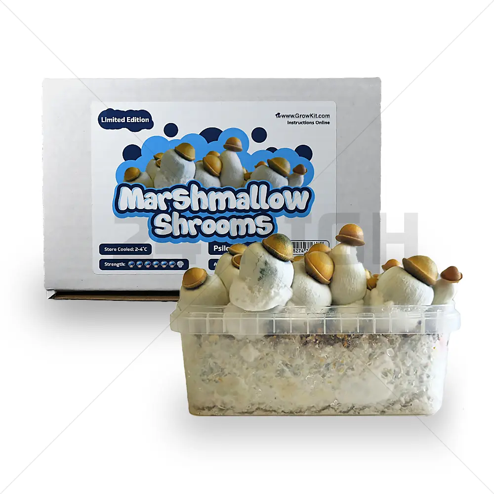 Marshmallow Shrooms Growkit